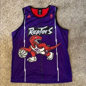 Toronto raptors retro jersey
